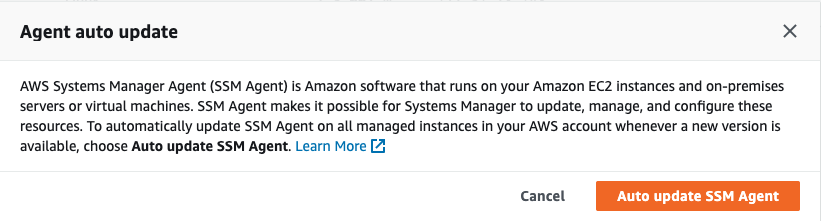 AWS Session Manager - Agent auto update